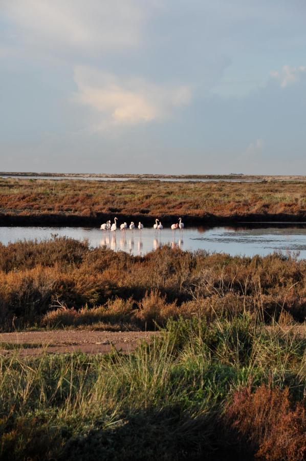 Salines Otel Hyères Dış mekan fotoğraf