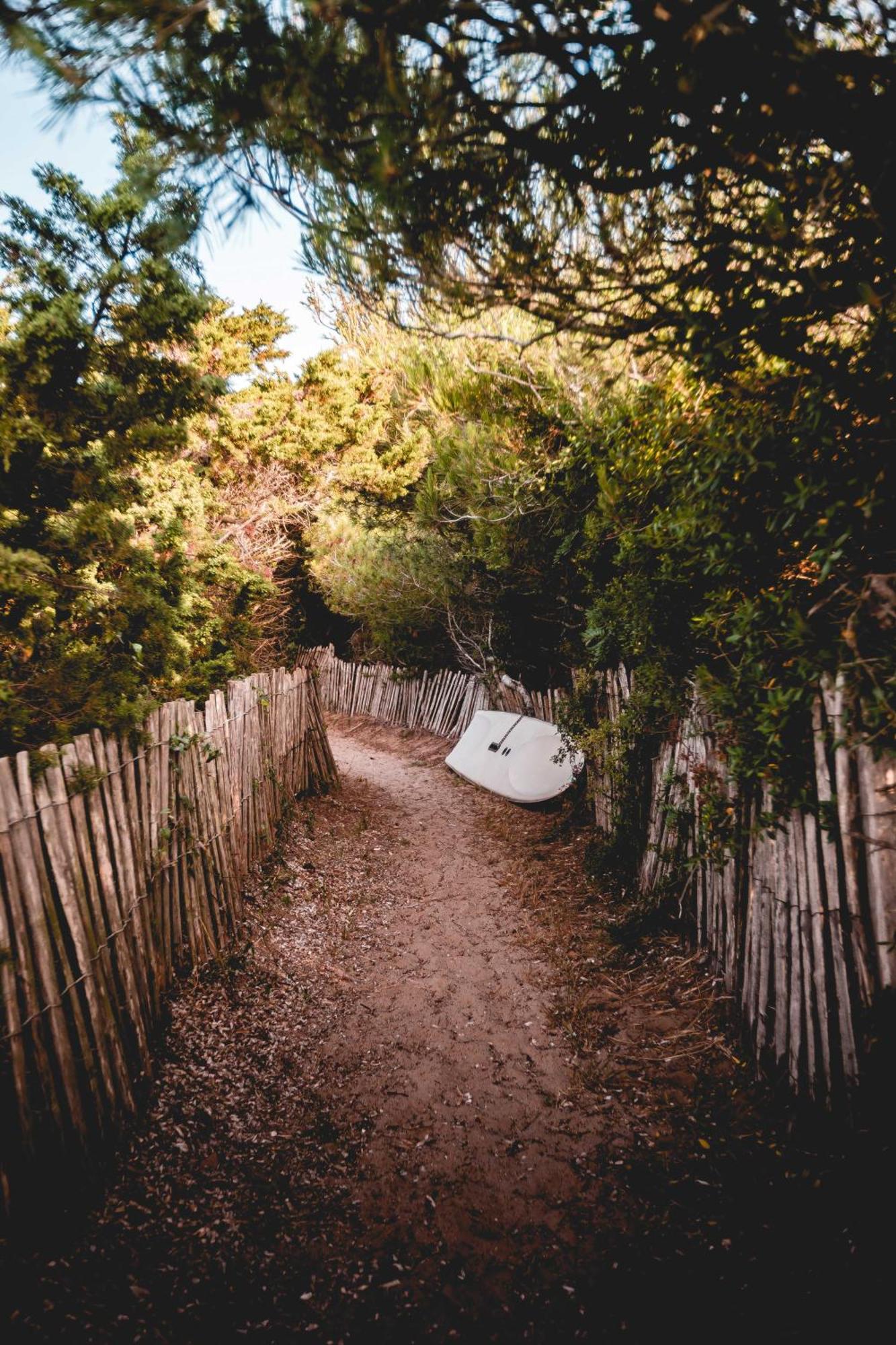 Salines Otel Hyères Dış mekan fotoğraf