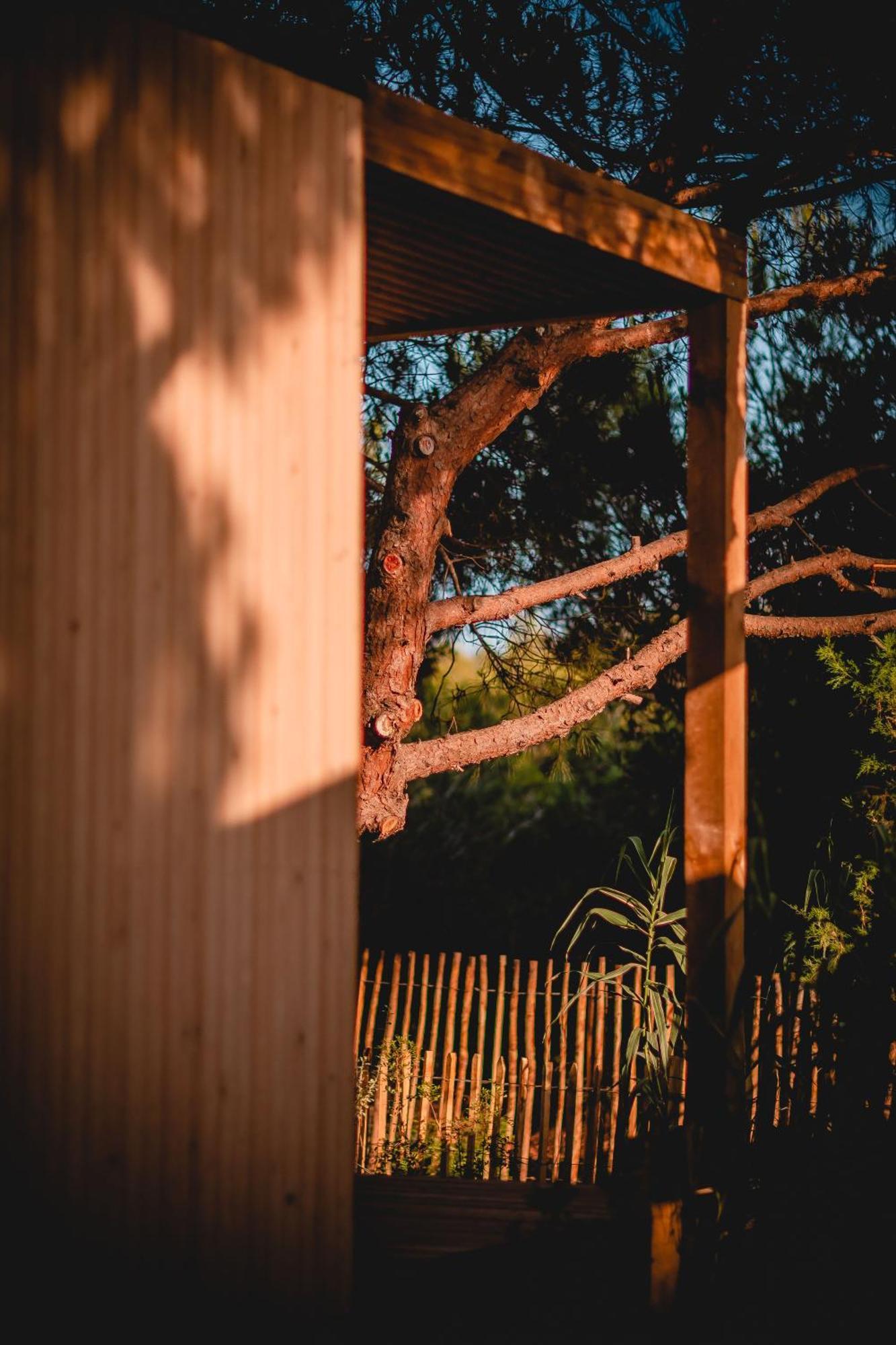 Salines Otel Hyères Dış mekan fotoğraf
